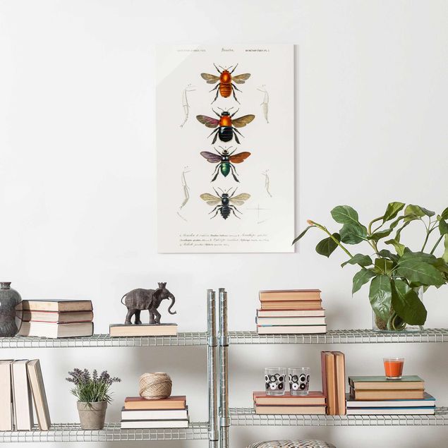 Wanddeko Esszimmer Vintage Lehrtafel Insekten