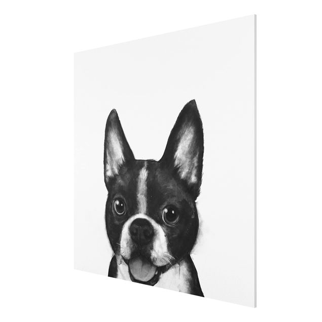 Wanddeko Esszimmer Illustration Hund Boston Schwarz Weiß Malerei