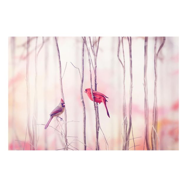 Wohndeko Fotografie Vögel auf Zweigen