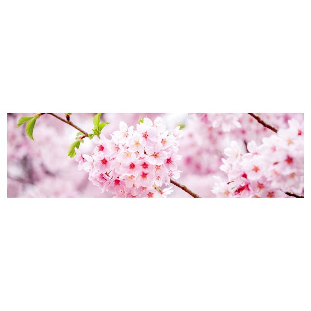 Küchenrückwand Folie selbstklebend Skyline Japanische Kirschblüten