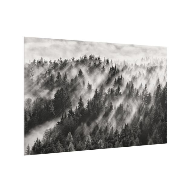 Wanddeko Landschaft Lichtstrahlen im Nadelwald