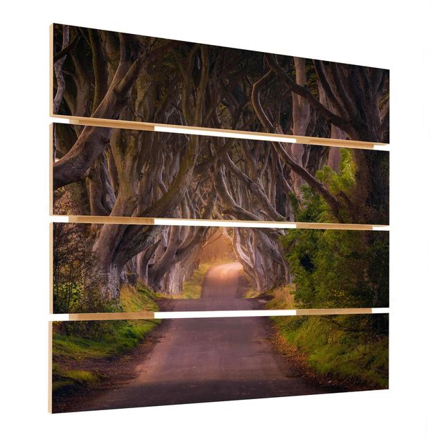 Wanddeko Esszimmer Tunnel aus Bäumen