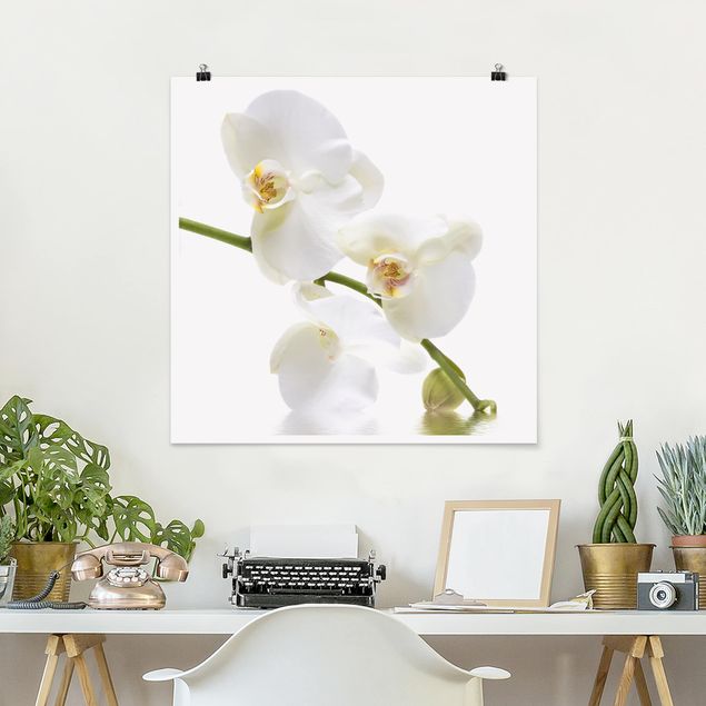 Wanddeko Küche White Orchid Waters