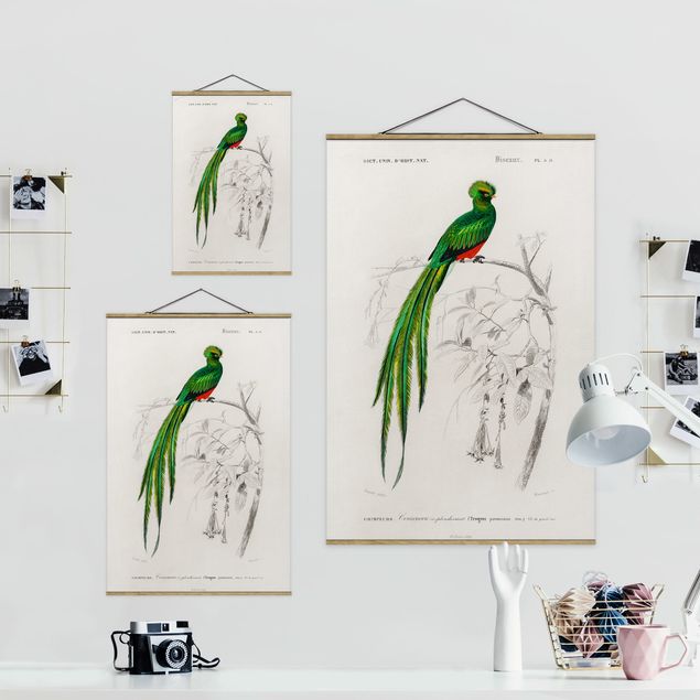 Wanddeko Büro Vintage Lehrtafel Tropischer Vogel I