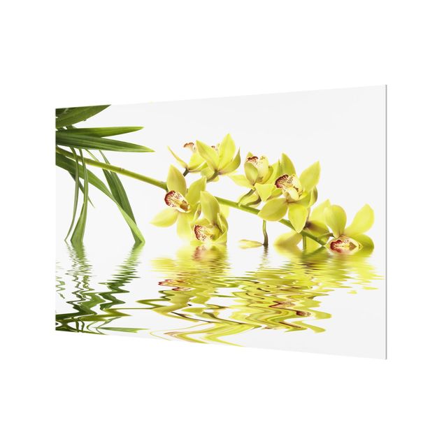 Wanddeko weiß Elegant Orchid Waters