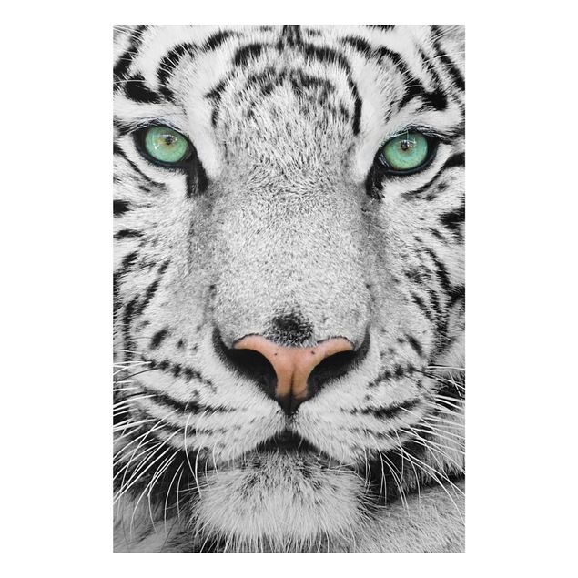 Wanddeko Flur Weißer Tiger