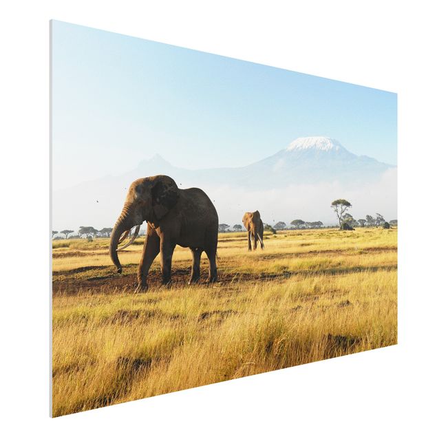 Wohndeko Afrika Elefanten vor dem Kilimanjaro in Kenya