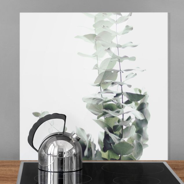Küche Dekoration Eukalyptus im Weißen Licht