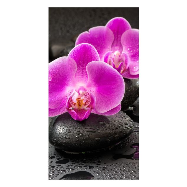 Deko Meditation Pinke Orchideenblüten auf Steinen mit Tropfen