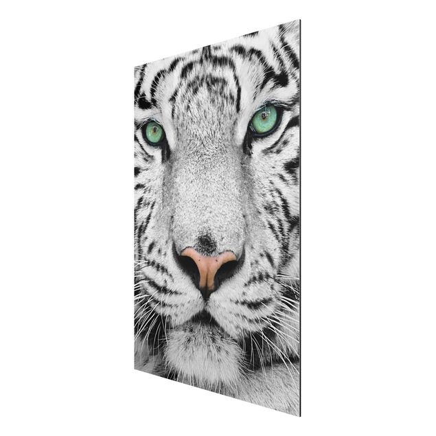 Wanddeko Esszimmer Weißer Tiger