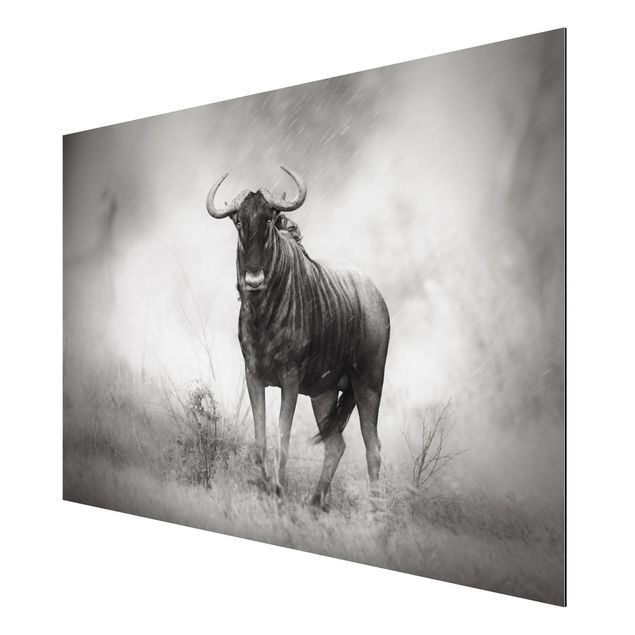 Wanddeko Esszimmer Staring Wildebeest