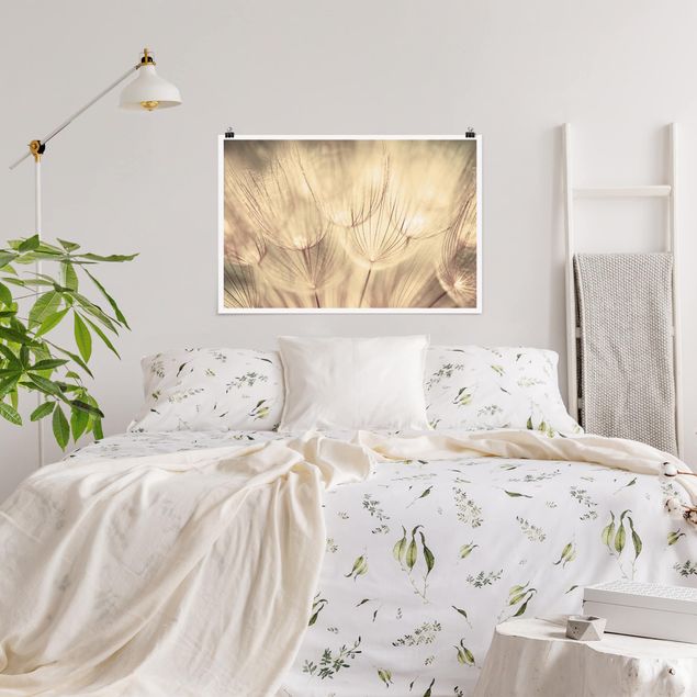 Wanddeko Schlafzimmer Pusteblumen Nahaufnahme in wohnlicher Sepia Tönung