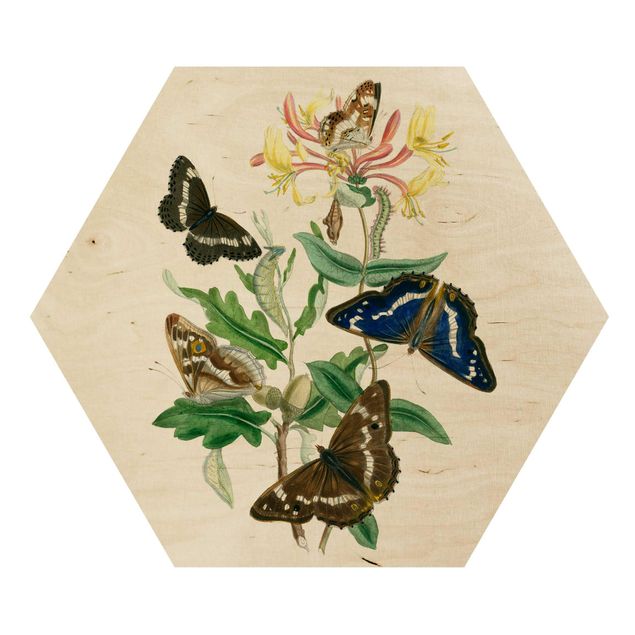 Wanddeko Büro Britische Schmetterlinge IV