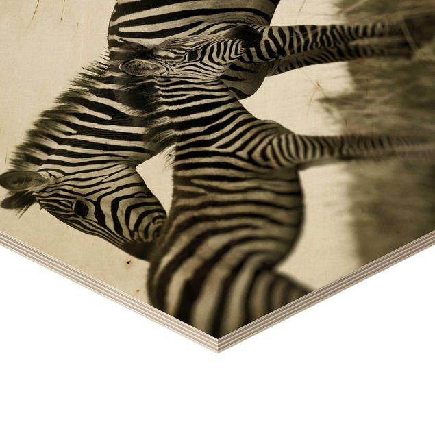 Wanddeko draußen Zebrapaar