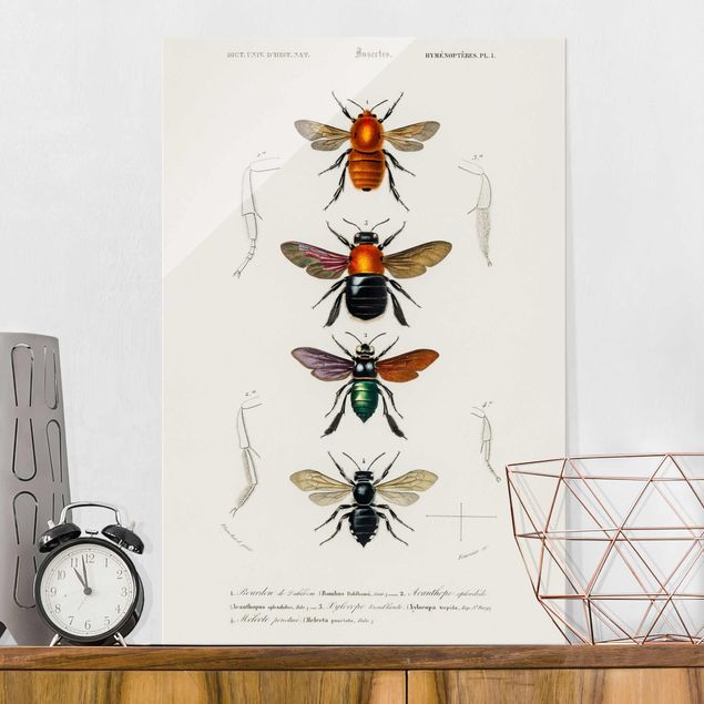 Wanddeko Schlafzimmer Vintage Lehrtafel Insekten