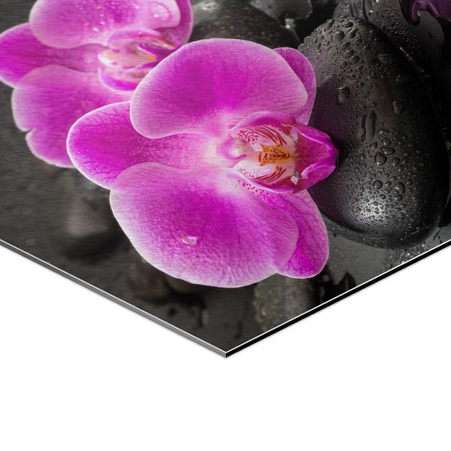Wanddeko pink Pinke Orchideenblüten auf Steinen mit Tropfen