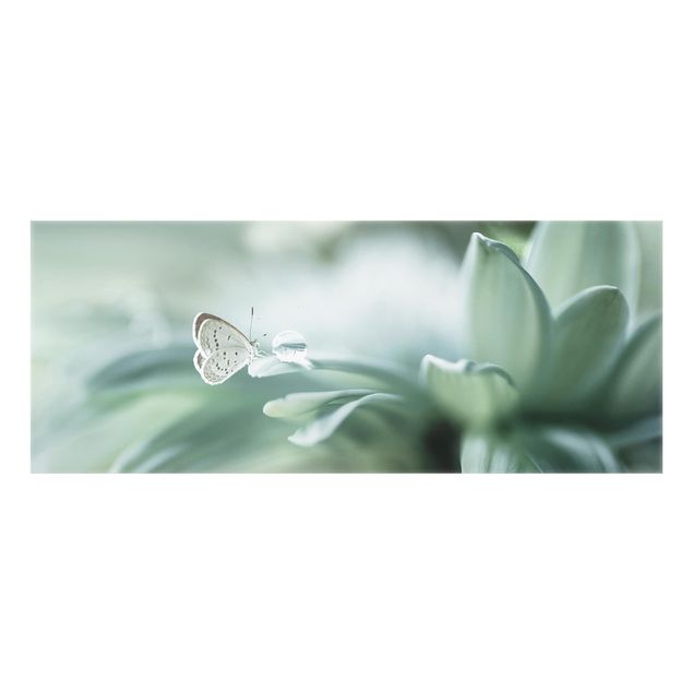 Wanddeko Fotografie Schmetterling und Tautropfen in Pastellgrün