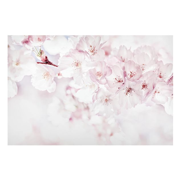 Wanddeko Esszimmer Ein Kirschblütenhauch