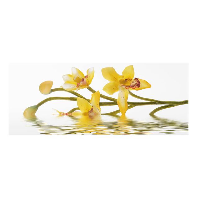 Wohndeko Orchidee Saffron Orchid Waters