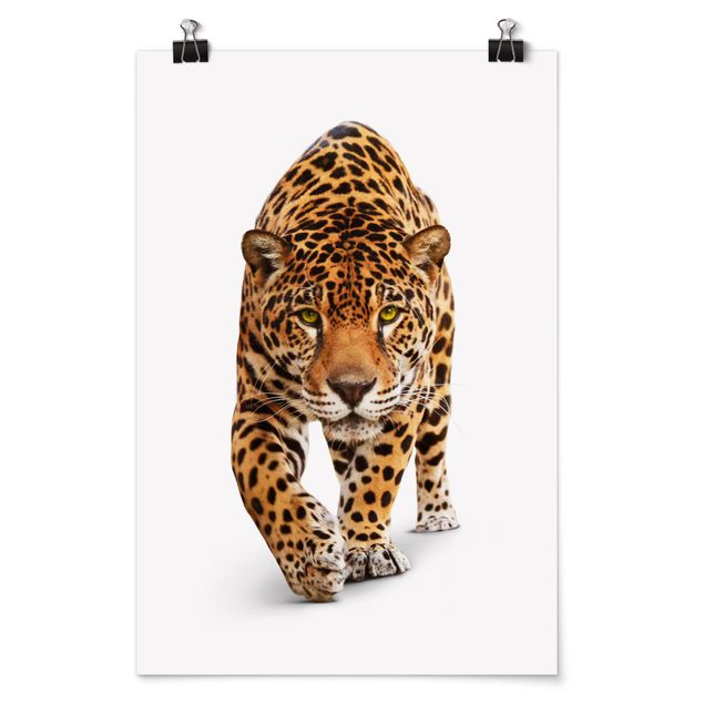 Wanddeko Büro Creeping Jaguar