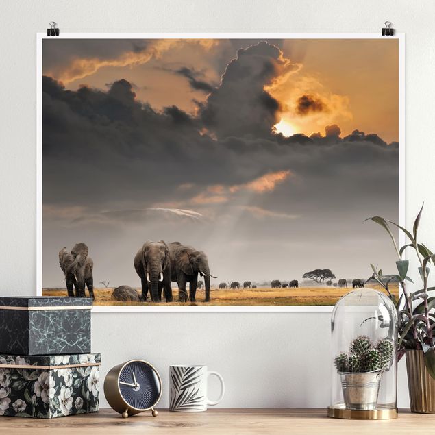 Wanddeko Afrika Elefanten der Savanne