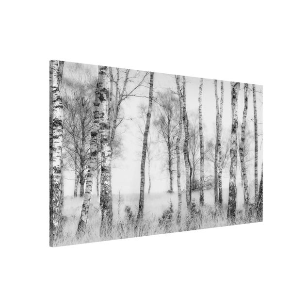 Wanddeko Flur Mystischer Birkenwald Schwarz-Weiß