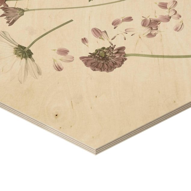 Wanddeko Praxis Herbarium in rosa II