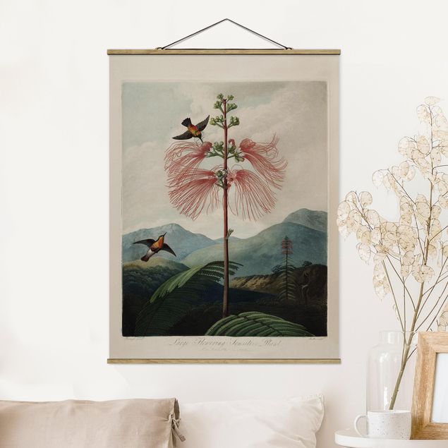 Wanddeko Wohnzimmer Botanik Vintage Illustration Blüte und Kolibri