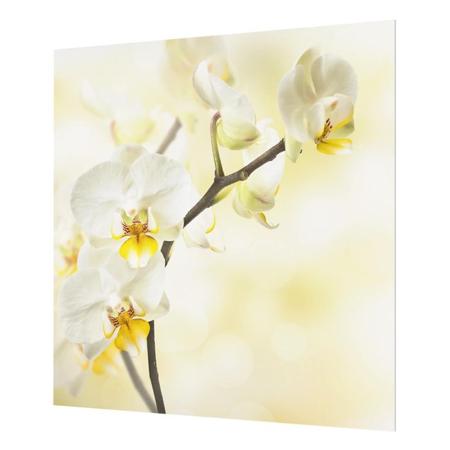 Glasrückwand Küche Blumen Orchideen Zweig