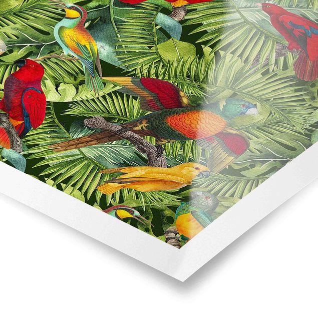 Wohndeko Pflanzen Bunte Collage - Papageien im Dschungel