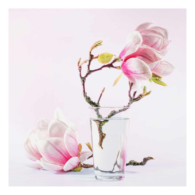 Wanddeko Blume Magnolie im Glas