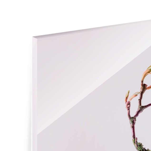 Wanddeko Esszimmer Magnolie im Glas