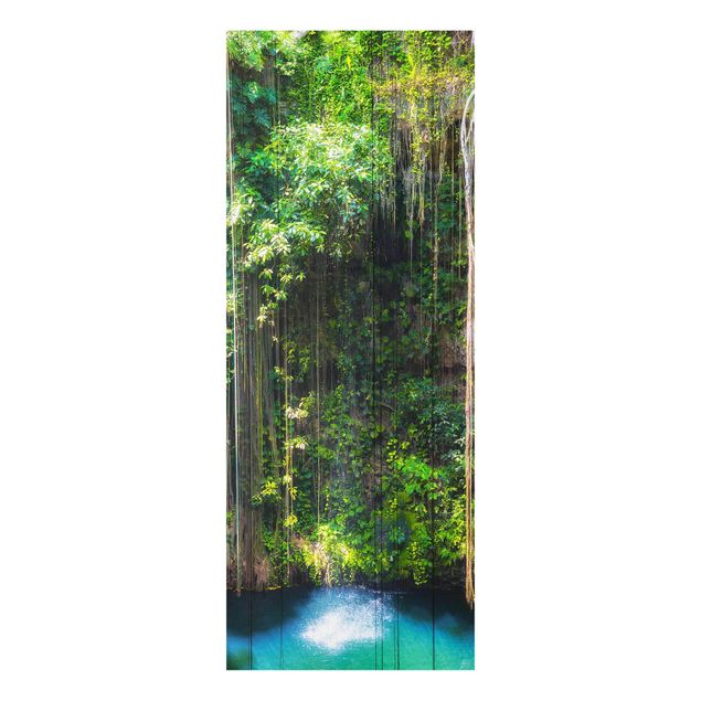 Wanddeko Esszimmer Hängende Wurzeln von Ik-Kil Cenote