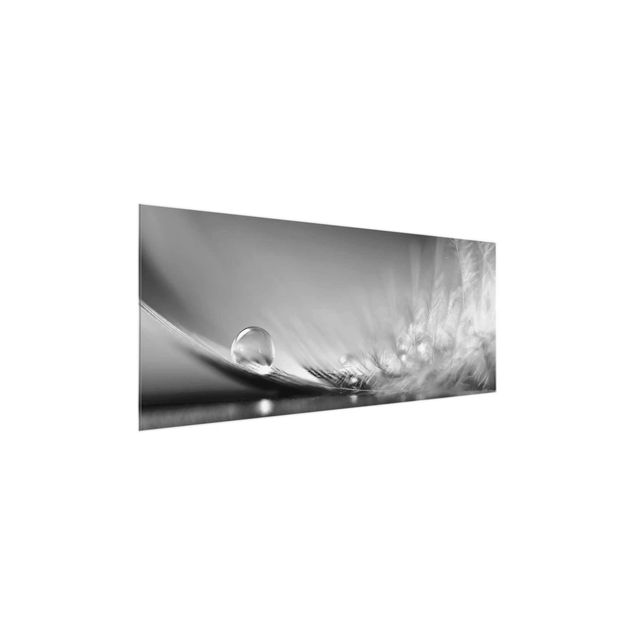 Glasbild - Story of a Waterdrop Black White - Panorama Quer