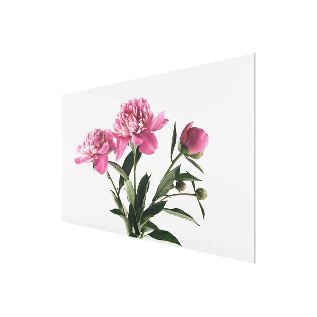 Wanddeko Esszimmer Blüten und Knospen Pink auf Weiß