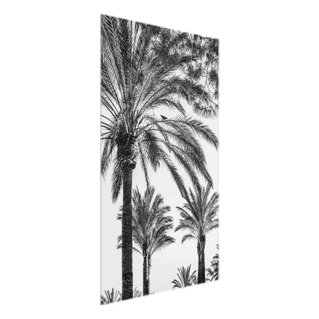Wanddeko Büro Palmen im Sonnenuntergang Schwarz-Weiß