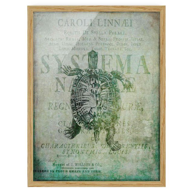 Wanddeko Esszimmer Vintage Collage - Antike Schildkröte
