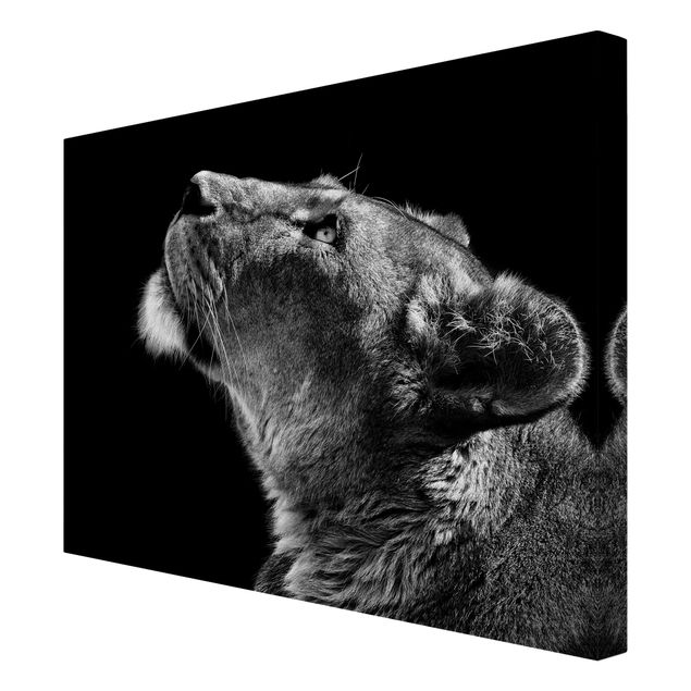 Wanddeko Büro Portrait einer Löwin
