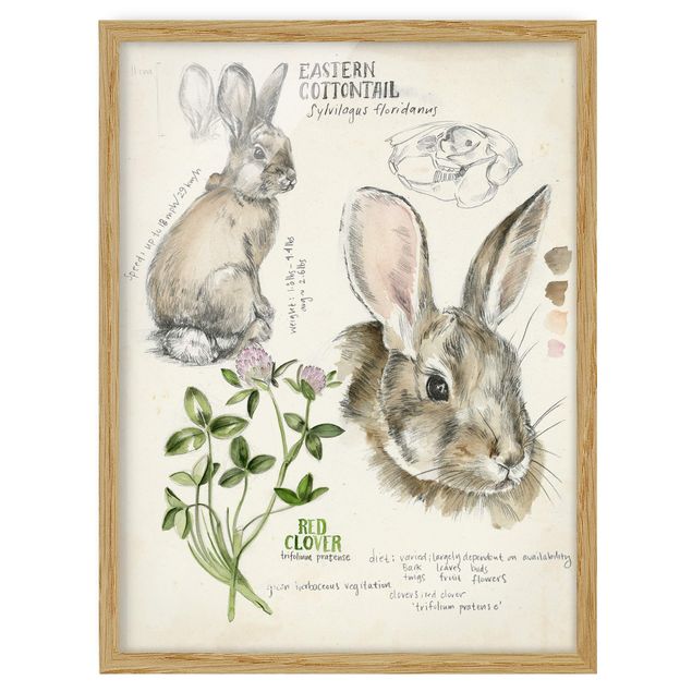 Wanddeko Flur Wildnis Journal - Kaninchen