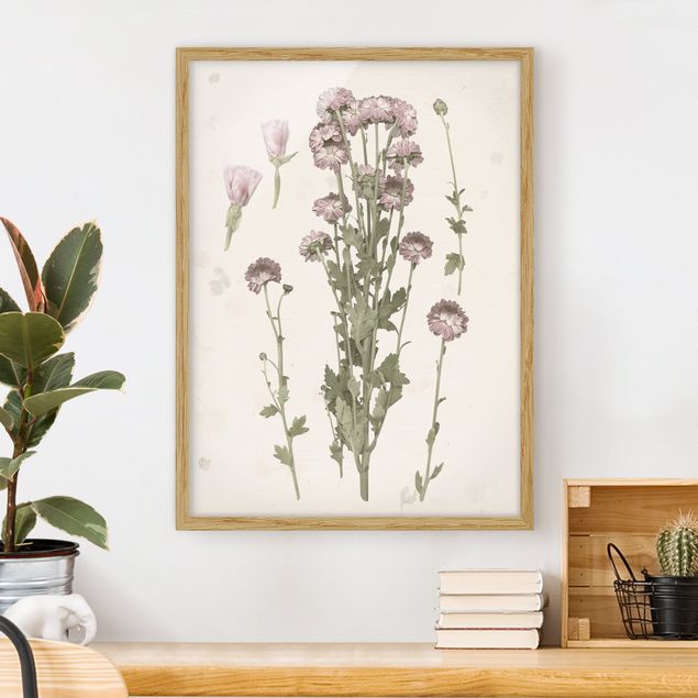 Wanddeko Wohnzimmer Herbarium in rosa I