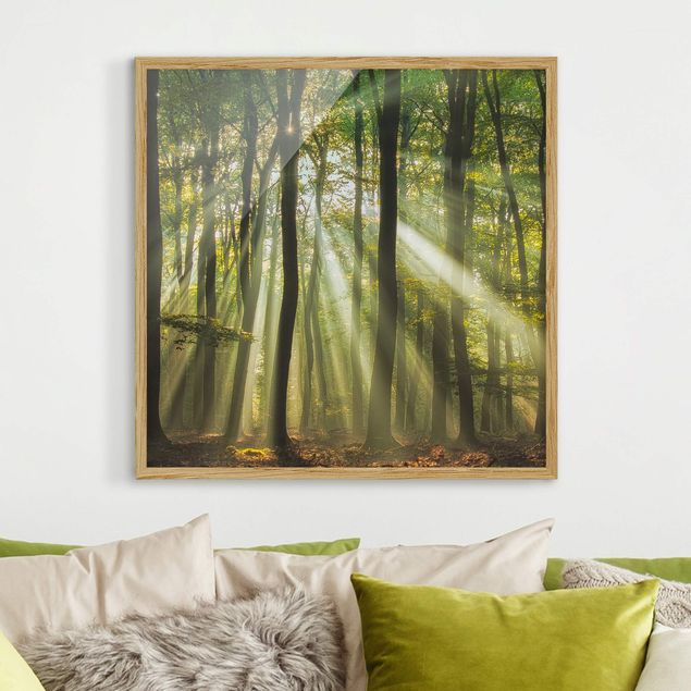 Wanddeko Wohnzimmer Sonnentag im Wald