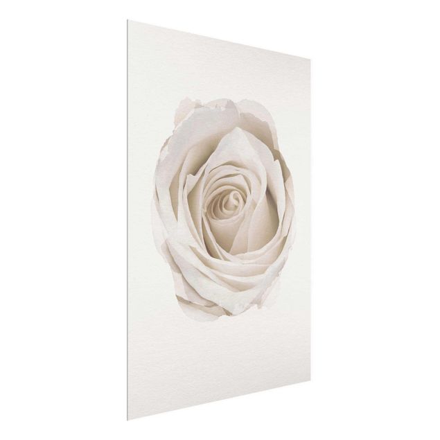 Deko Blume Wasserfarben - Pretty White Rose