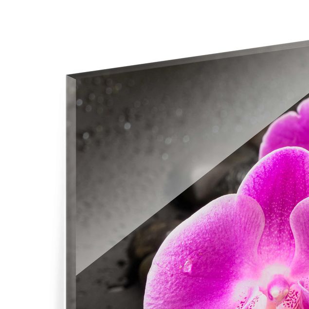Wanddeko Esszimmer Pinke Orchideenblüten auf Steinen mit Tropfen