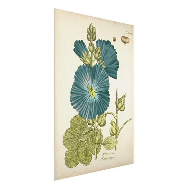 Wanddeko Blume Vintage Botanik in Blau Rosenpappel