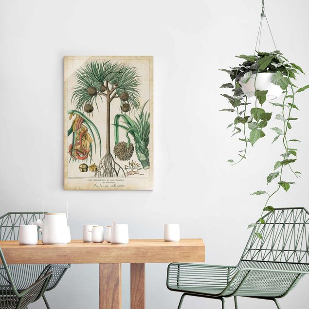 Wanddeko Flur Vintage Lehrtafel Exotische palmen I