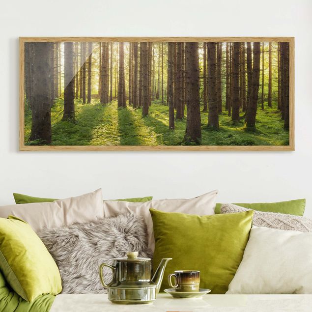 Wanddeko Schlafzimmer Sonnenstrahlen in grünem Wald