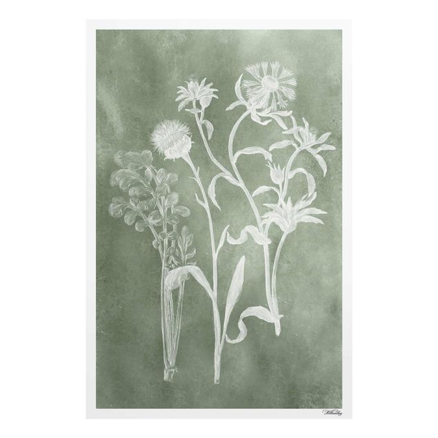 Wanddeko Pflanzen Vintage Illustration Salbei II