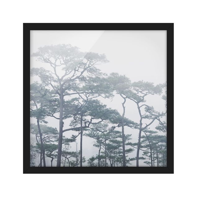 Wanddeko grau Baumkronen im Nebel