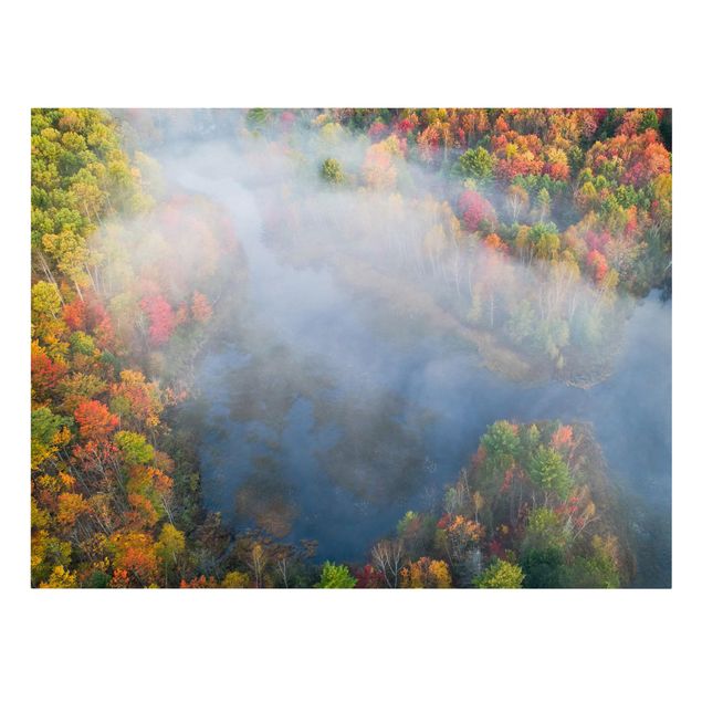 Wanddeko Esszimmer Luftbild - Herbst Symphonie