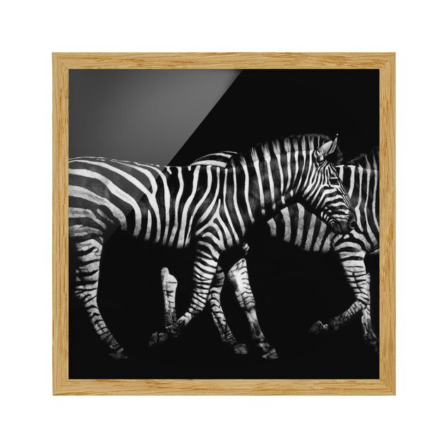 Wanddeko Esszimmer Zebra vor Schwarz